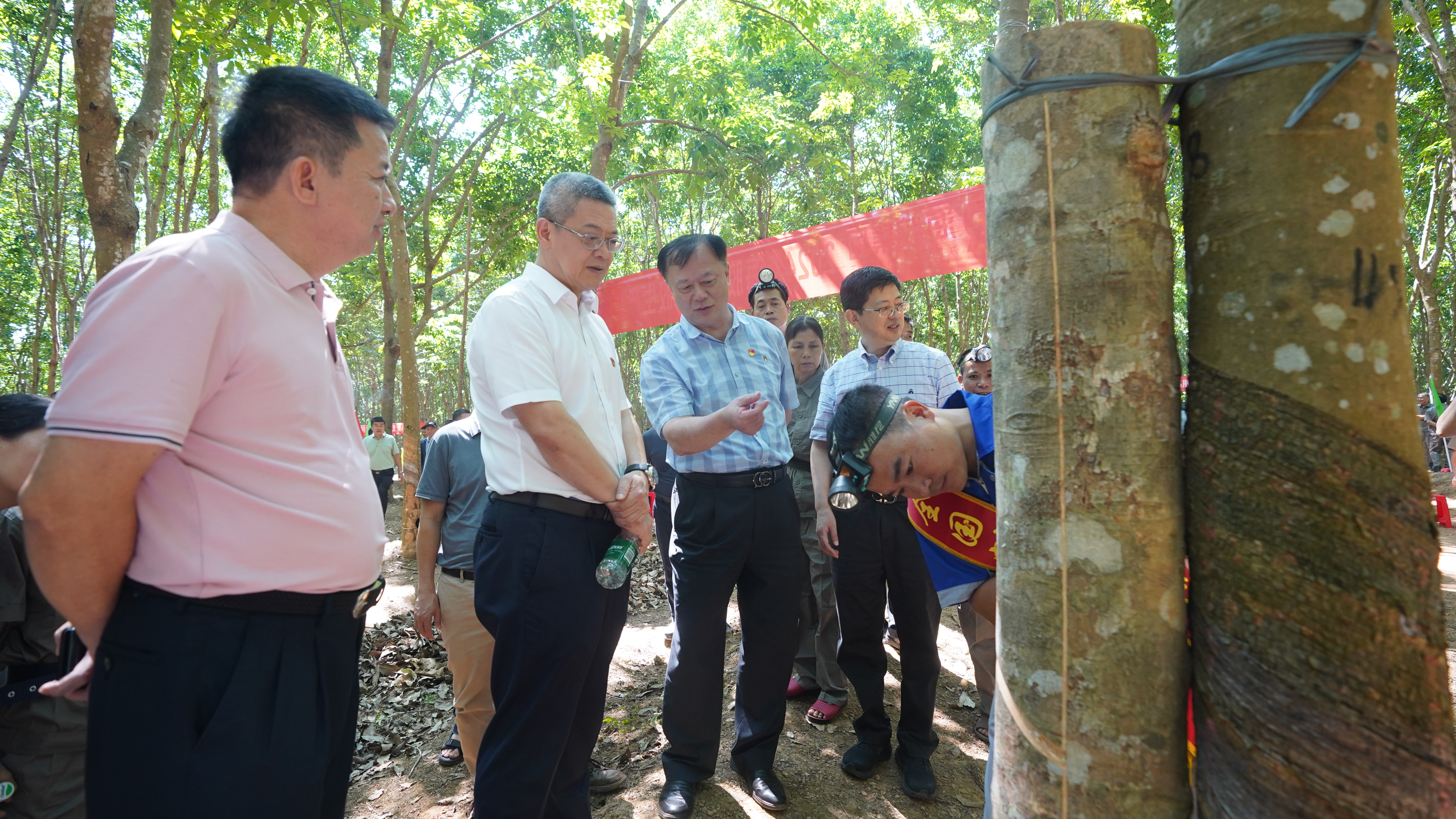 1713430671252086175.jpg 1713430671252086175.jpg