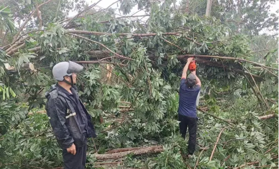 1736730453611001217.jpg 1736730453611001217.jpg