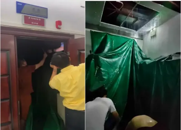 1736730593302018578.jpg 1736730593302018578.jpg