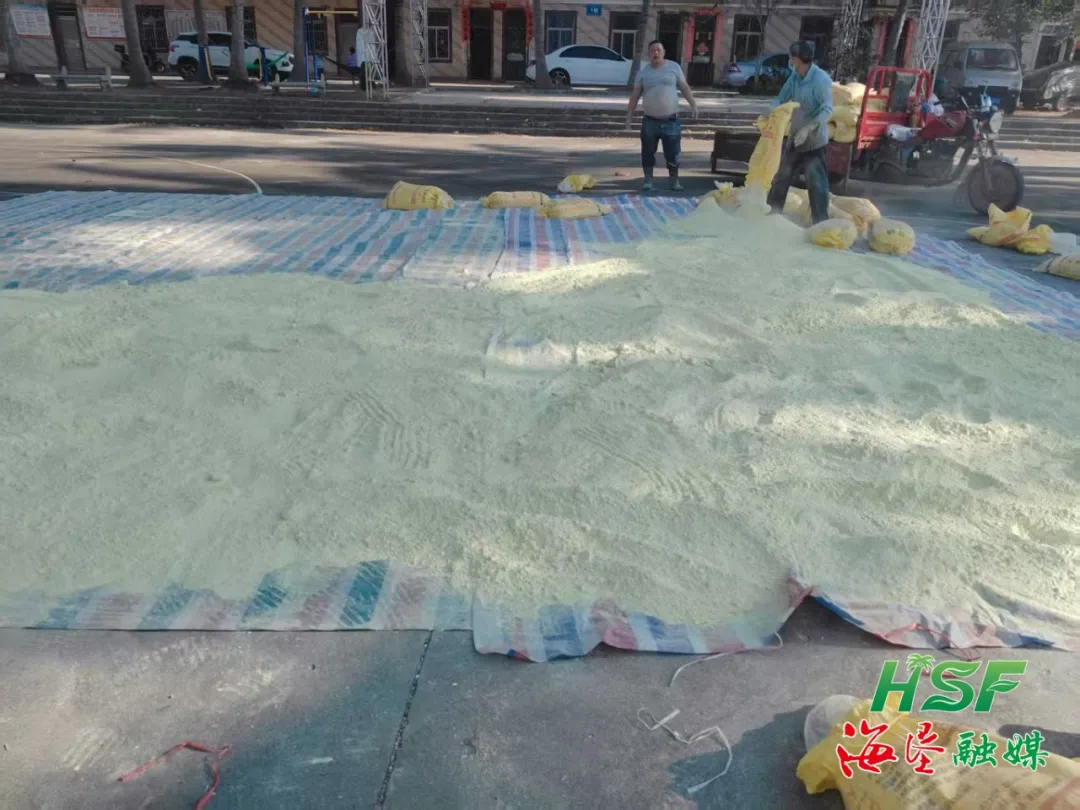 1739259069190094848.jpg 1739259069190094848.jpg