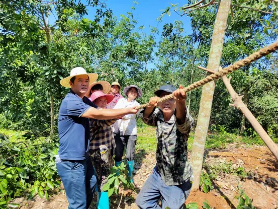 1741880281223072848.jpg 1741880281223072848.jpg