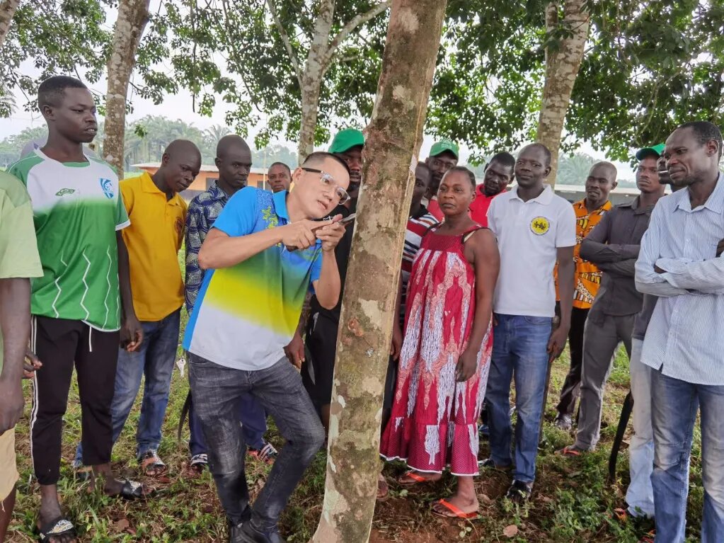 1768182238805020930.jpg 1768182238805020930.jpg